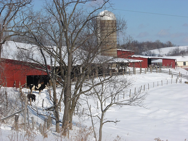 ISCOWP barn in the snow