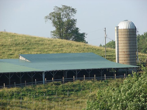 Repaired Barn Roof