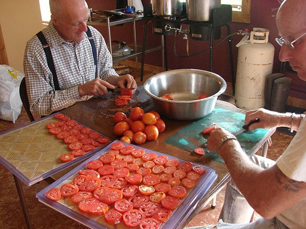 Cutting tomatoes for drying