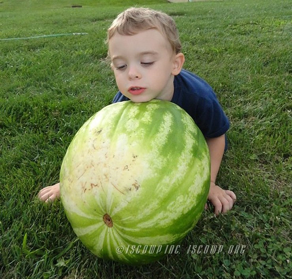 Balaji with 30 pound watermelon