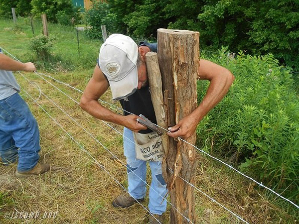 John stringing the fence wire
