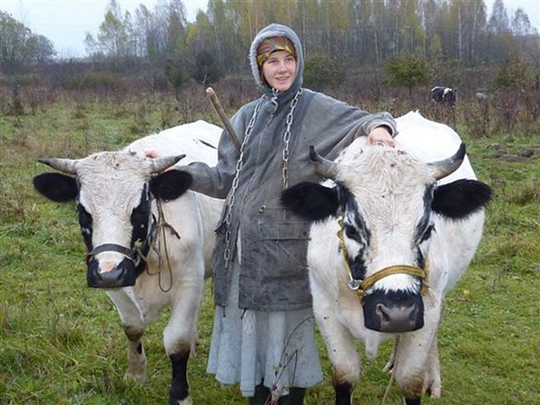 Oxen training in Belarus