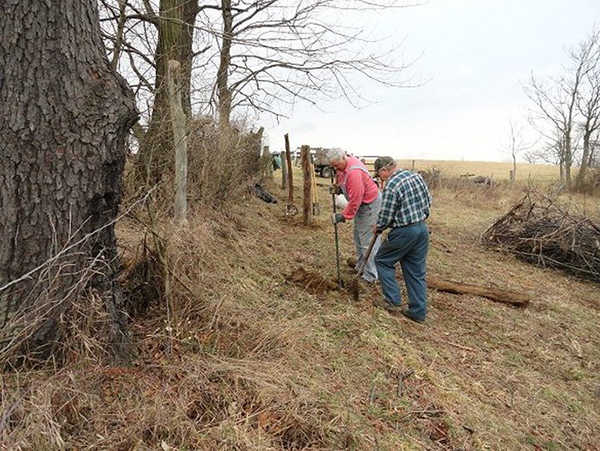 Mikey & John clearing the fence line, digging the holes and putting the fence posts in the ground.